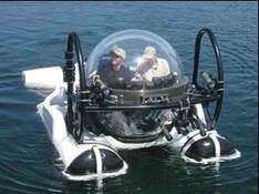 OP@ two person used submersible for sale